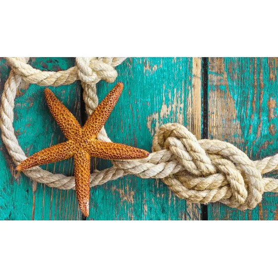 Quadro Nautico Estrela Corda 45x75 - 2 Opções De Cores