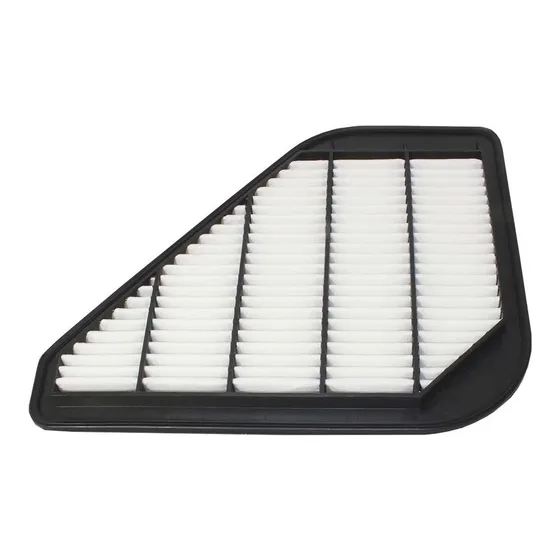 Filtro De Aire Buick Enclave 2008-2017  Gm