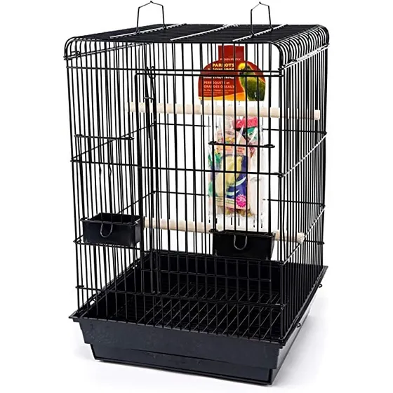 Penn Plax Jaula Large Kit 47x47x70 Cm