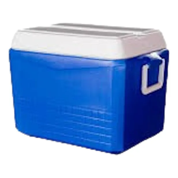 Decocar Cava Junior 30 Litros Rojo
