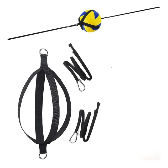 Entrenador De Voleibol