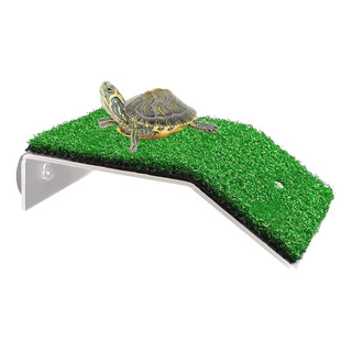 Plataforma Para Tartaruga Com Rampa E Nova Grama Peq D5p5f Plataforma Para Tartaruga Com Rampa E Nova Grama Peq D5p5f