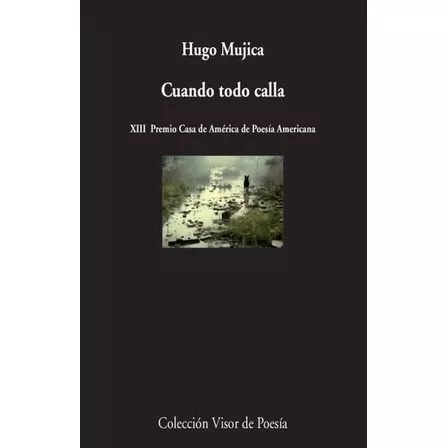 Hugo Mujica Cuando Todo Calla Editorial Visor