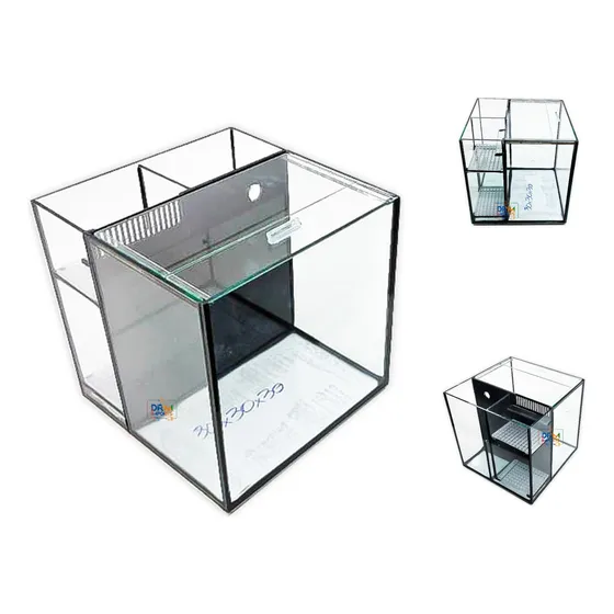 Aquário Cubo 30x30x30 Simples Com Filtragem Samp Traseira