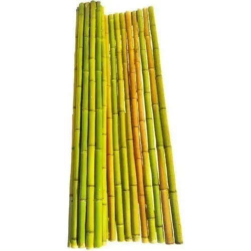 Cerco De Cañas Pergolas Tacuara Bambu Cañas Sueltas 