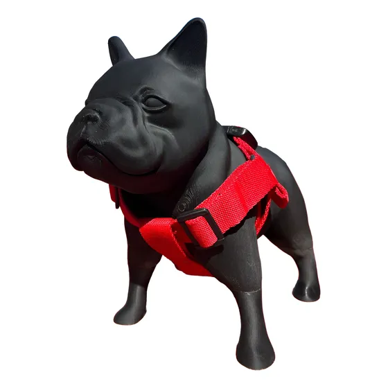 Maniquí De Perro Bull Dog Frances Ideal Para Petshop