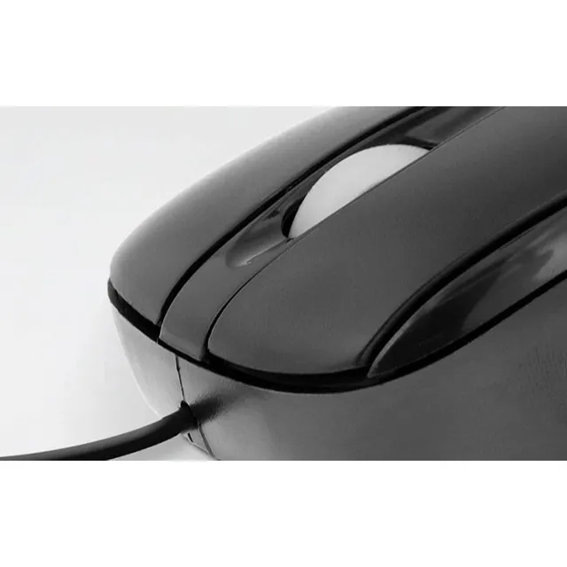 Mouse Xtech Xtm-175 Óptico 1000dpi Usb 3 Botones Color Negro