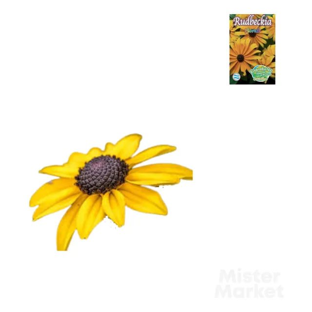 Semillas Rudbeckia Enana Florales Jardines Ecoproductos