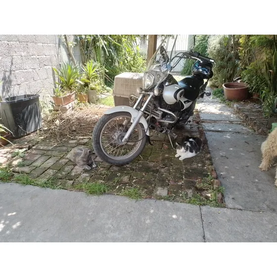 Bajaj 2020
