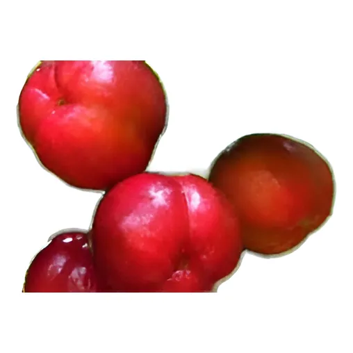 Acerola Frutal Tropical - Árbol 110 Cm Con Maceta