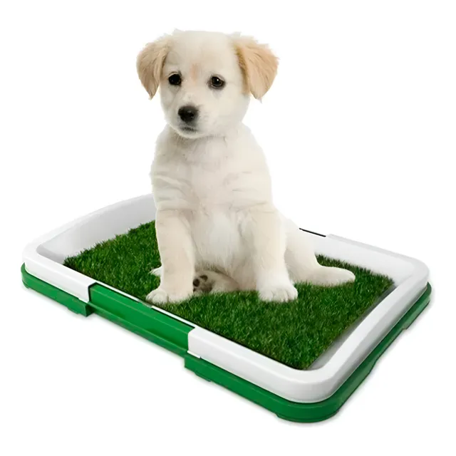 Pad Grama Artifical Acostumbrador Entrenador Cachorro Perro