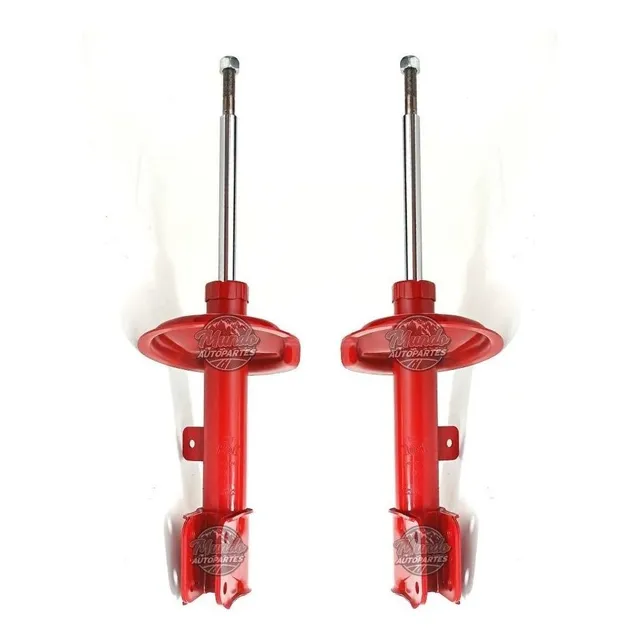 Amortiguadores Delanteros 307 C4 Hasta 2012 Fric Rot Kit X2