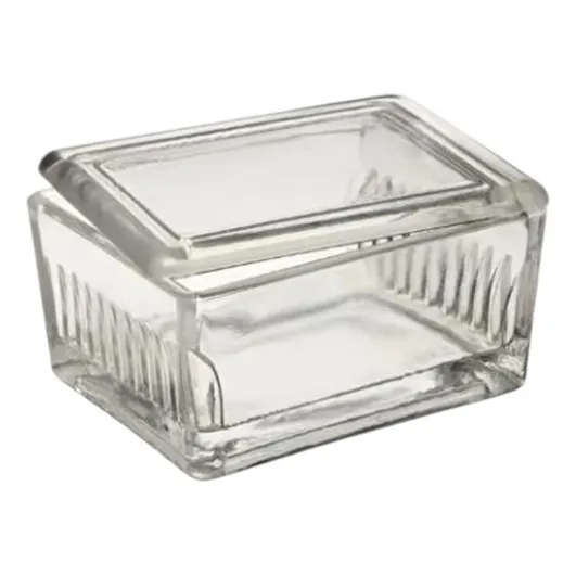 Cubeta Vaso Coplin Vidrio Con Tapa Para Tinción, 10 Ranuras