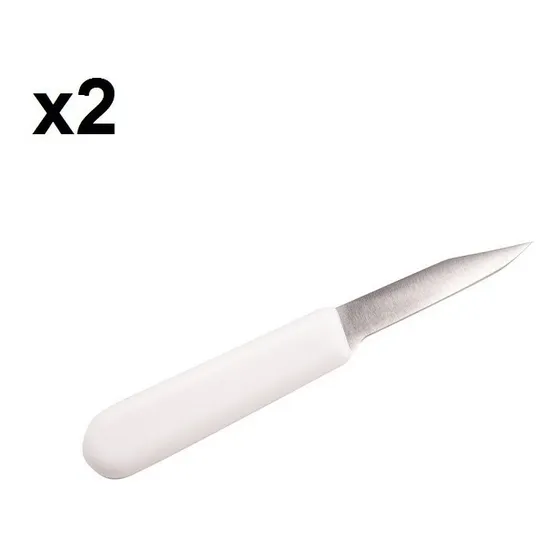 Cuchillo Puntilla 3 Pulgada Mango Plastico Fruta Cocina Chef