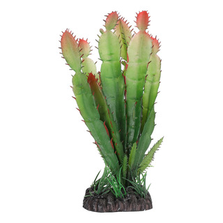 Terrario De Plantas De Cactus De Plástico De Simulación De P Terrario De Plantas De Cactus De Plástico De Simulación De P