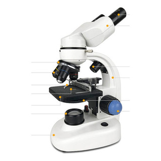Microscopio De Gran Angular Binocular 1000x Hd Alta Microscopio De Gran Angular Binocular 1000x Hd Alta