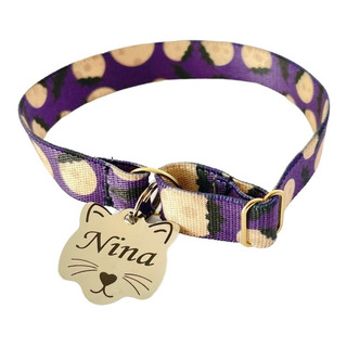 Coleira Super Herói Para Gatos Com Nome Personalizado E Tel Coleira Super Herói Para Gatos Com Nome Personalizado E Tel