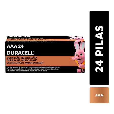 Pila Alcalina Duracell Aaa X 24