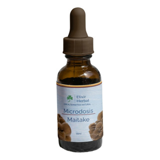 Hongo Maitake Metabolismo Hongo Maitake Metabolismo