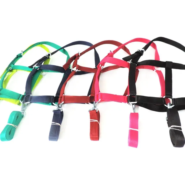 Bozal Con Cabresto Para Caballo. Variedad De Colores!!
