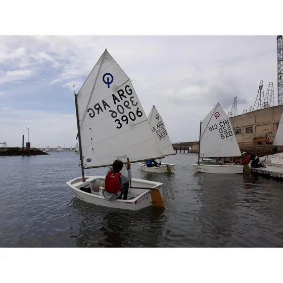 Velero Optimist 2015 Completo