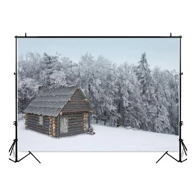 Invierno Nieve Bosque Casa Madera Paisaje Natural Foto Fondo
