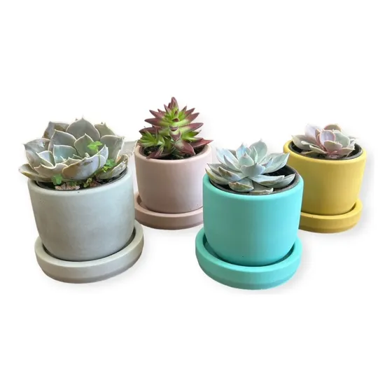 Maceta Minimalista Pequeña Hecha De Concreto Para Suculenta Color Azul Tiffany