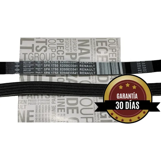 Correa Unica Multicanal Clío Symbol Megane 16v Original