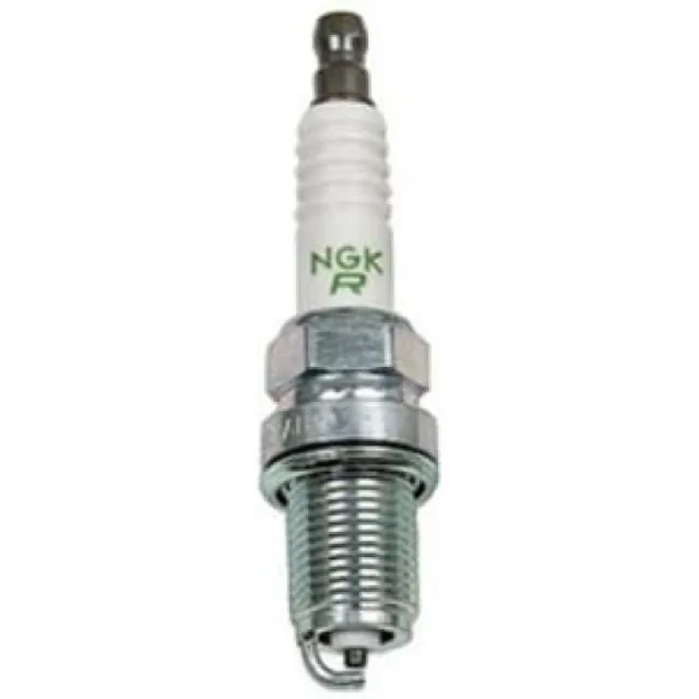 Bujias Ngk Palio 1.6lt 2000