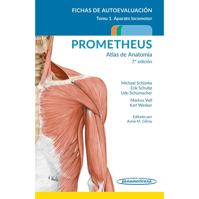 Prometheus. Atlas De Anatomía.fichas De Autoevaluación: Tomo 1: Aparato Locomotor, De Michael Schunke. Editorial Editorial Médica Panamericana, Tapa Blanda, Edición 7.0 En Español, 2023