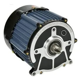 Motor Diferencial Escobilla Iman Permanente Dc48v 60v Eje I