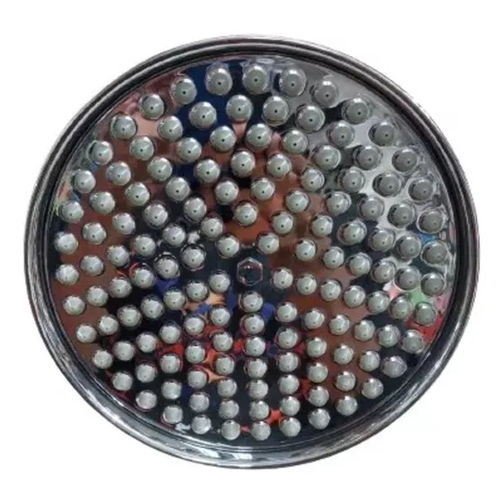 Regadera Ducha Redonda Victoria Fp Anticalcarea Cr200