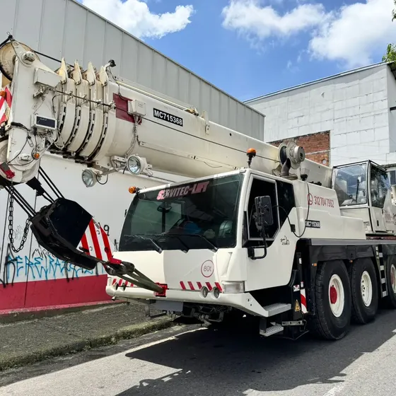 Grua Telescopica Liebherr Telematic 2008