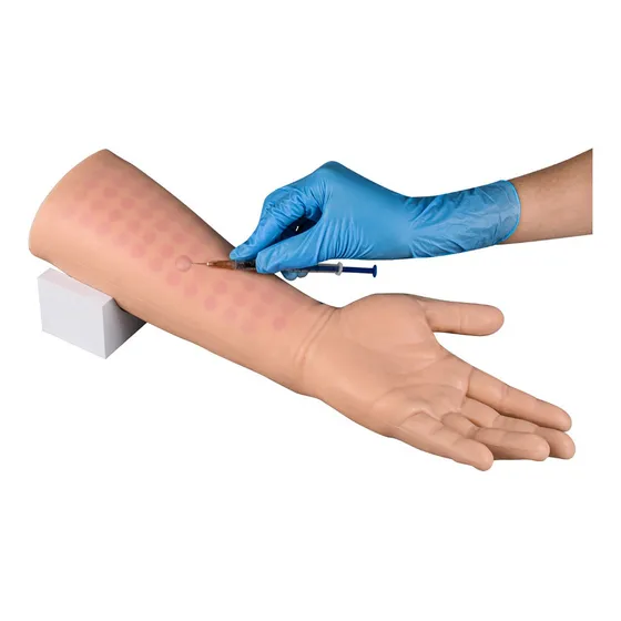 Brazo De Práctica De Inyección Intradérmica Y
