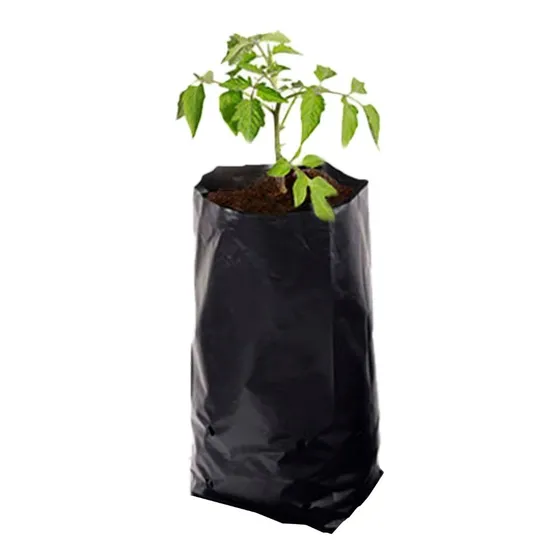 Bolsa Para Vivero Negra 2 Kg 20x25 Cm