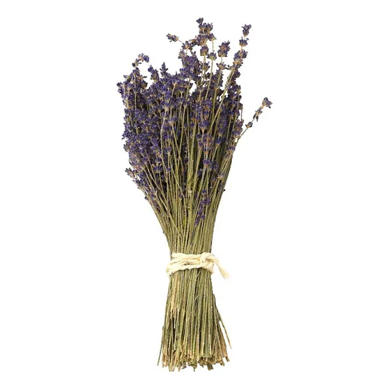 S Lavanda Seca Natural  Ramo Recien Cosechada Flor 1
