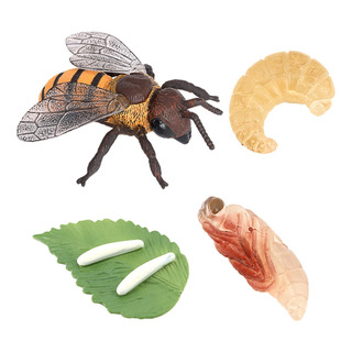 Aula De Material Didáctico Sobre El Ciclo De Abeja Aula De Material Didáctico Sobre El Ciclo De Abeja