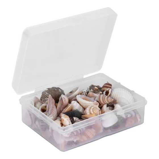Juego De Joyas Para Manualidades Con Caracoles Marinos, Conc