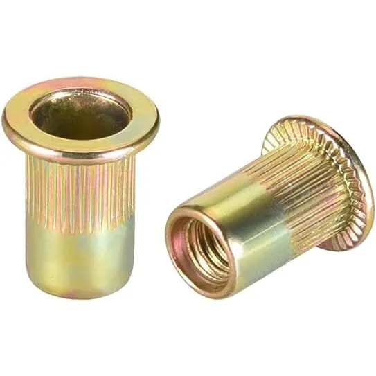 Rebite Com Rosca Interna M3 Porca Rebite Popnut Emb. C/ 100