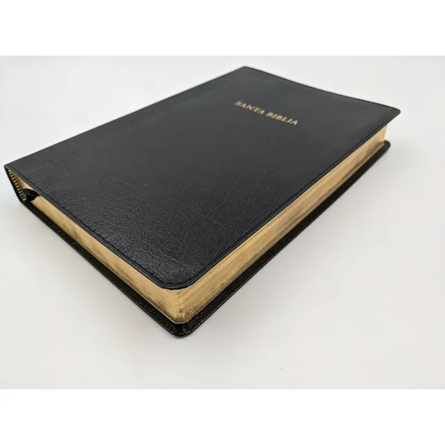 Biblia Reina Valera 1960 De  Estudio Scofield Negro Piel