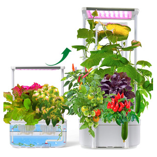 Kit Hidropónico Para Cultivo Con Enrejado, Sistema De Jardin Kit Hidropónico Para Cultivo Con Enrejado, Sistema De Jardin