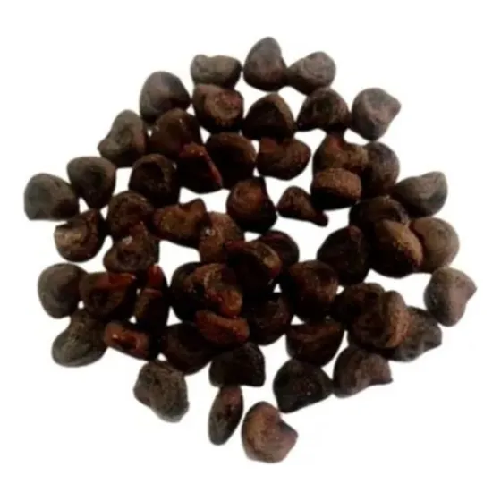 100 Semillas De Flor De Jamaica