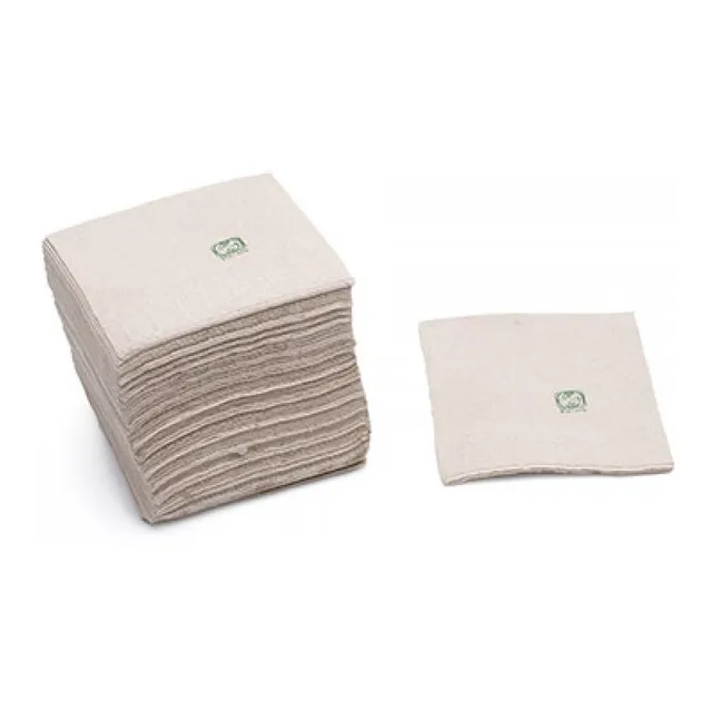 Servilleta De Papel Tissue Bio Eco Doble Hoja 20x20cm (100)