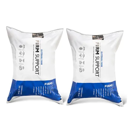 Pack 2 Almohadas Cannon 50x70 Cm
