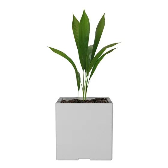 Maceta De Plástico Rotomoldeada Amalfi Modelo Cubo N30 De 30x30x30 Cm Y 25 Litros Color Blanco