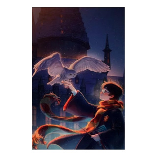 Pintura De Diamantes 5d Diy 60x40cm - Harry Potter-2 Pintura De Diamantes 5d Diy 60x40cm - Harry Potter-2
