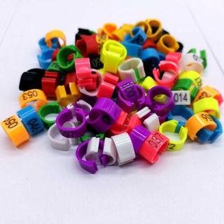 Pulsera De Tobillo Con Forma De Paloma Con Forma De Anillo D Pulsera De Tobillo Con Forma De Paloma Con Forma De Anillo D