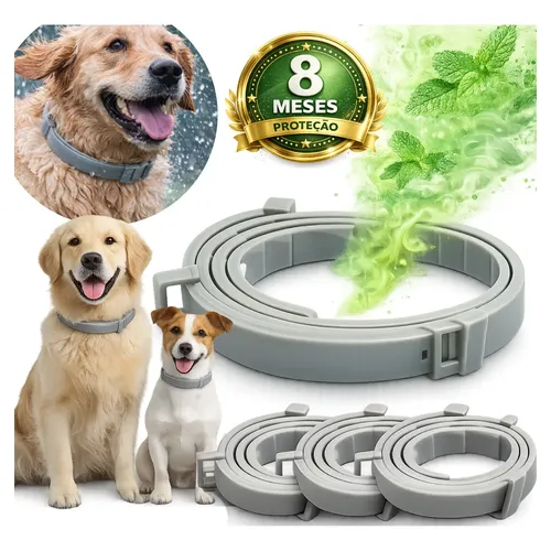 Dog Collar Coastal K-9 Explorer Reflective Adjustable 1.6cm