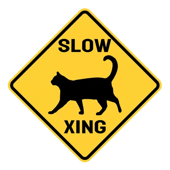 Letrero Trafico Texto Ingl  Drive Slow Cat Xing  Calle Pared