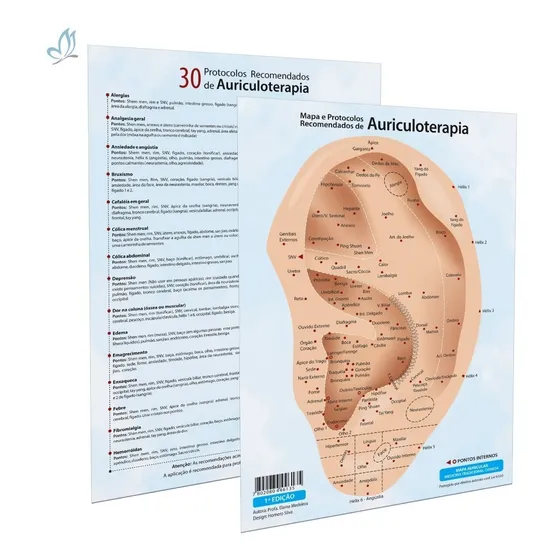 Mapa Protocolos Pontos Auriculares Estudantes De Acupuntura